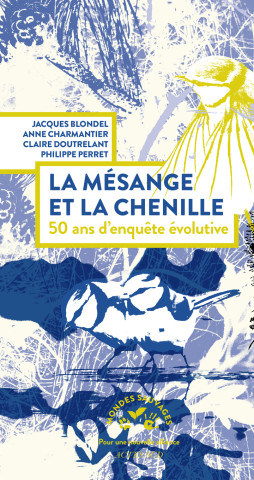 Des anges bleus