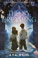 THEORY OF DREAMING