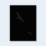 RJ MUNA   Fleeting Gestures /anglais