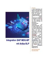 Integration von MDG-BP (Lieferant) mit SAP Ariba Supplier Lifecycle and Performance  (SLP) im Rahmen des Business Partnering-Prozesses