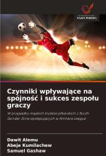 Czynniki wplywajace na spójnosc i sukces zespolu graczy