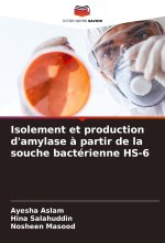 Isolement et production d'amylase à partir de la souche bactérienne HS-6