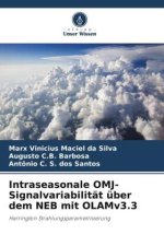 Intraseasonale OMJ-Signalvariabilität über dem NEB mit OLAMv3.3