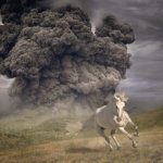 THE WHITE BUFFALO  YEAR OF THE DARK HORSE