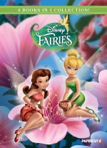 DISNEY FAIRIES 4 IN 1 V03