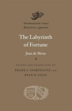 LABYRINTH OF FORTUNE