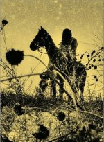 Simon Vansteenwinckel Aux Ombres /franCais