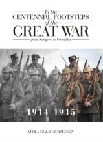 In the Centennial Footsteps of the Great War - from Sarajevo to Versailles - Volume 1 / 1914-1915