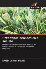 Potenziale economico e sociale