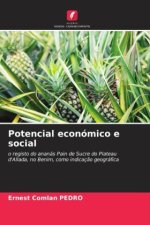 Potencial económico e social
