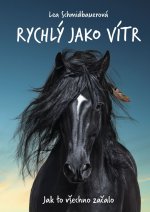 Rychlý jako vítr - Jak to všechno začalo