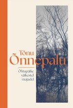 Ohtupäike väikestel majadel