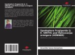 Spodoptera frugiperda (J. E. SMITH) and Helicoverpa armigera (HÜBNER)