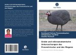 Grobe und mikroanatomische Untersuchungen des Proventriculus und des Magens