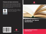 Produção de lipase bacteriana