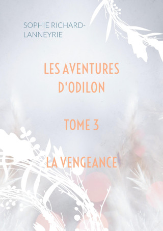 AVENTURES D ODILON