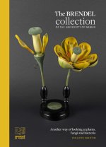 The Brendel collection of the University of Namur