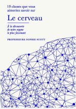 LE CERVEAU