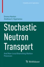 Stochastic Neutron Transport