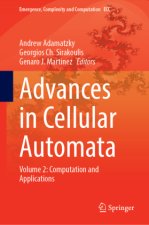 Advances in Cellular Automata