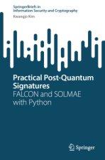 Practical Post-Quantum Signatures