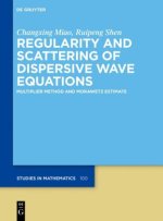 Regularity and Scattering of Dispersive Wave Equation