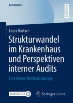 Strukturwandel im Krankenhaus und Perspektiven interner Audits