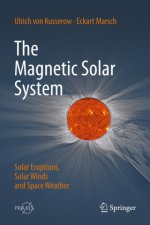 The Magnetic Solar System