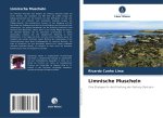 Limnische Muscheln