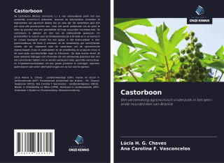 Castorboon