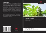 Castor bean