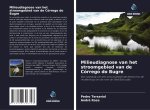 Milieudiagnose van het stroomgebied van de Córrego do Bugre