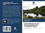 Umweltdiagnose des Einzugsgebiets des Córrego do Bugre