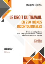 LE DROIT DU TRAVAIL EN 250 THEMES INCONTOURNABLES