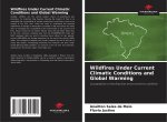 Wildfires Under Current Climatic Conditions and Global Warming
