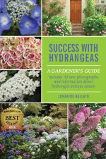 Success With Hydrangeas