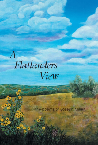A Flatlanders View