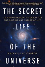 The Secret Life of the Universe