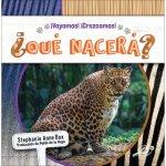 ?Qué Nacerá?