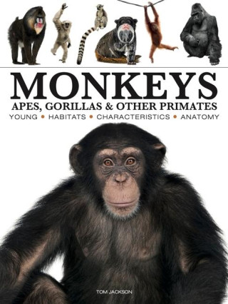 Monkeys