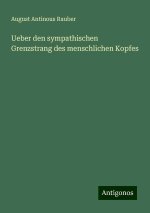 Ueber den sympathischen Grenzstrang des menschlichen Kopfes