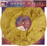WATERS MUDDY  ME AND MY BLUES