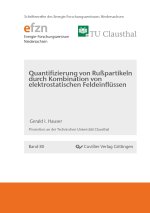 Qualifizierung von Rußpartikeln durch Kombinationen von elektrostatischen Feldeinflüssen