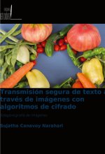 Transmisión segura de texto a través de imágenes con algoritmos de cifrado