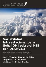 Variabilidad Intraestacional de la Se?al OMJ sobre el NEB con OLAMv3.3