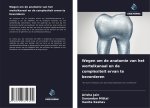 Wegen om de anatomie van het wortelkanaal en de complexiteit ervan te bevorderen
