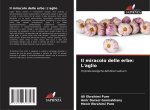 Il miracolo delle erbe: L'aglio