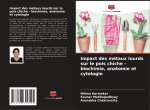 Impact des métaux lourds sur le pois chiche - biochimie, anatomie et cytologie