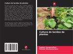 Cultura de tecidos de plantas