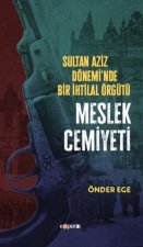 Sultan Aziz Döneminde Bir Ihtilal Örgütü Meslek Cemiyeti